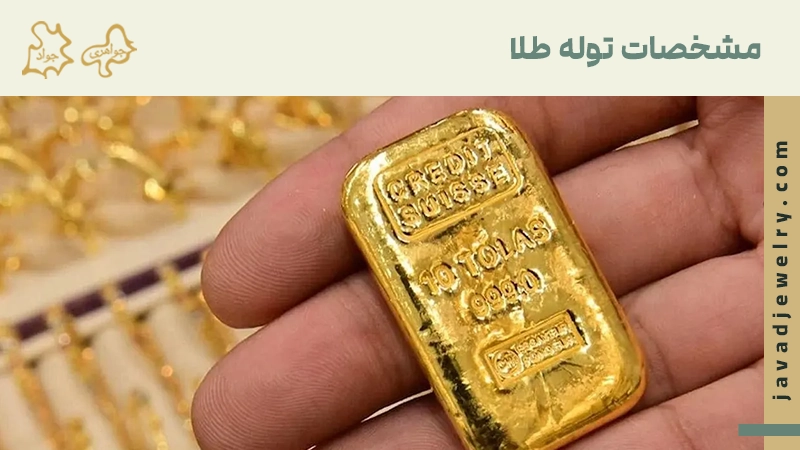 مشخصات توله طلا